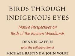This photo is of the cover of the book Birds though Indigenous Eyes. It features Woodland style art depicting two birds watching a butterfly circle their heads.