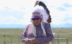 A man stands outdoors He is wearing a feather headdress and dark sunglasses.