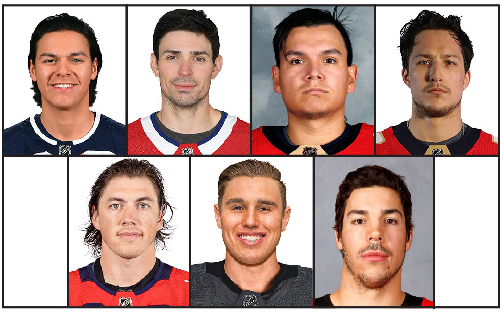 Indigenous NHL Players 2020-21 (PDF & JPG format) by Tipler Teaches