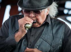 A man with grey hair bursting from beneath a pork pie hat plays harmonica into a mic. He wears all black and sunglasses.