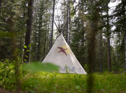 A tipi stands in a meadow surrounded by trees.