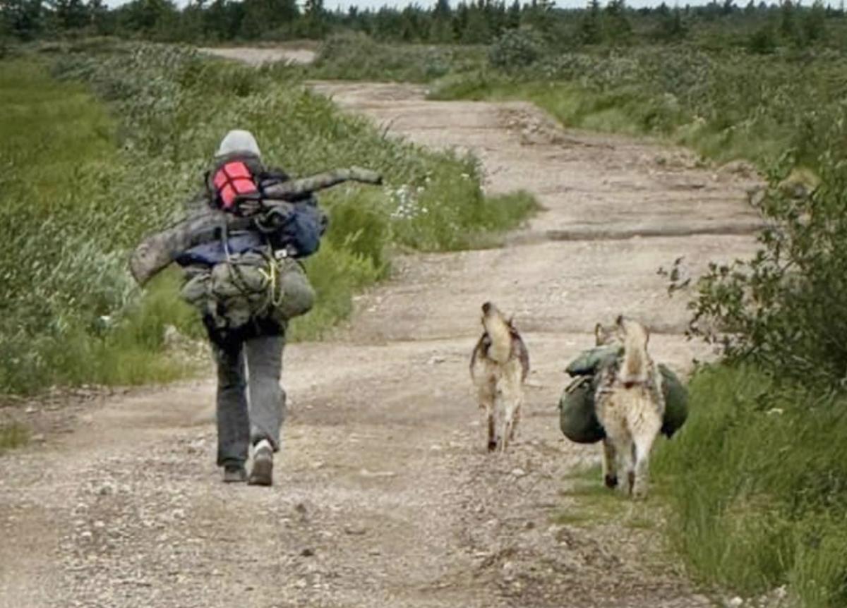 NAN calls on federal government to support community-led search for ...